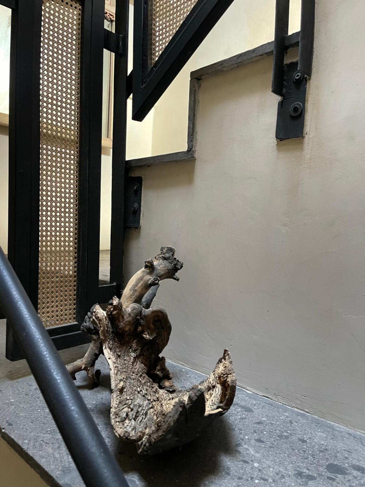 克雷塔罗 Casa Realm酒店 外观 照片
